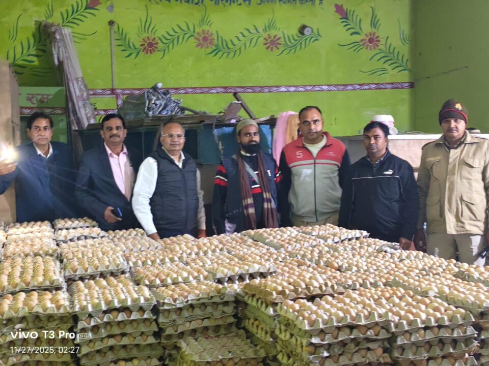 नकली देसी अंडे